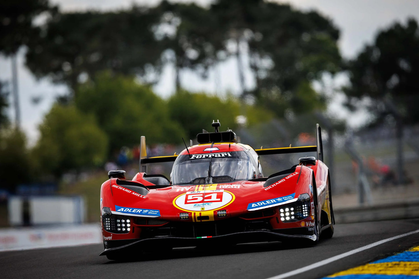 Amalgam Ferrari 499P - 24 Hours of Le Mans 2024 | #51 Ferrari - AF Corse 1:8 SCALE (*shipping included*)