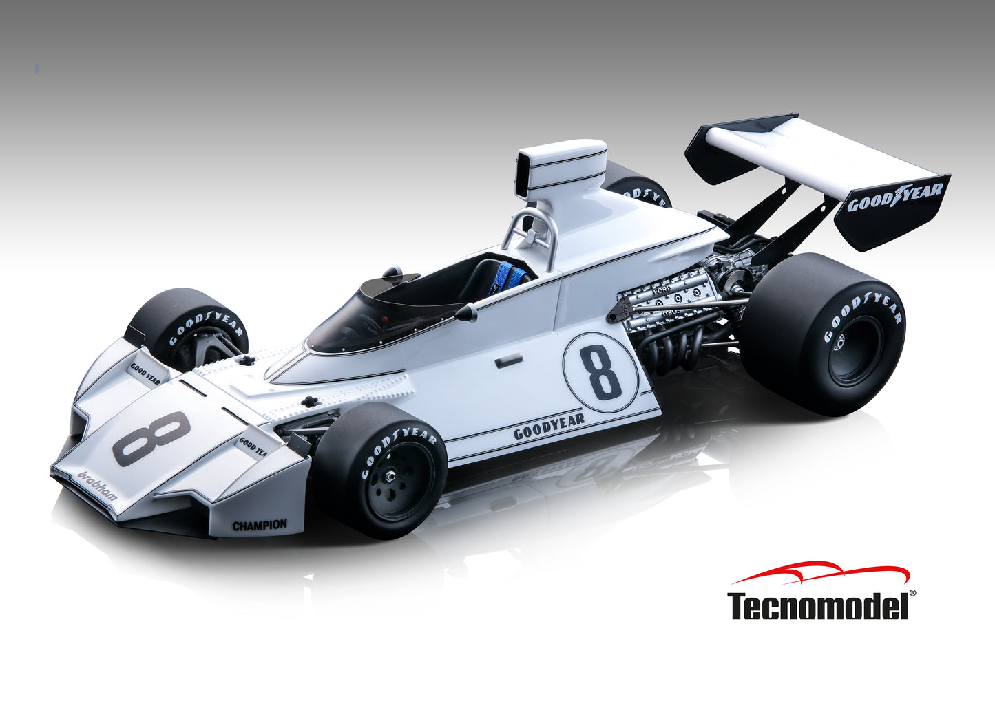 Tecnomodel TM18-274B Brabham BT44 1974 Sweden GP car #8  R. Von Opel LE 70 pcs 1/18